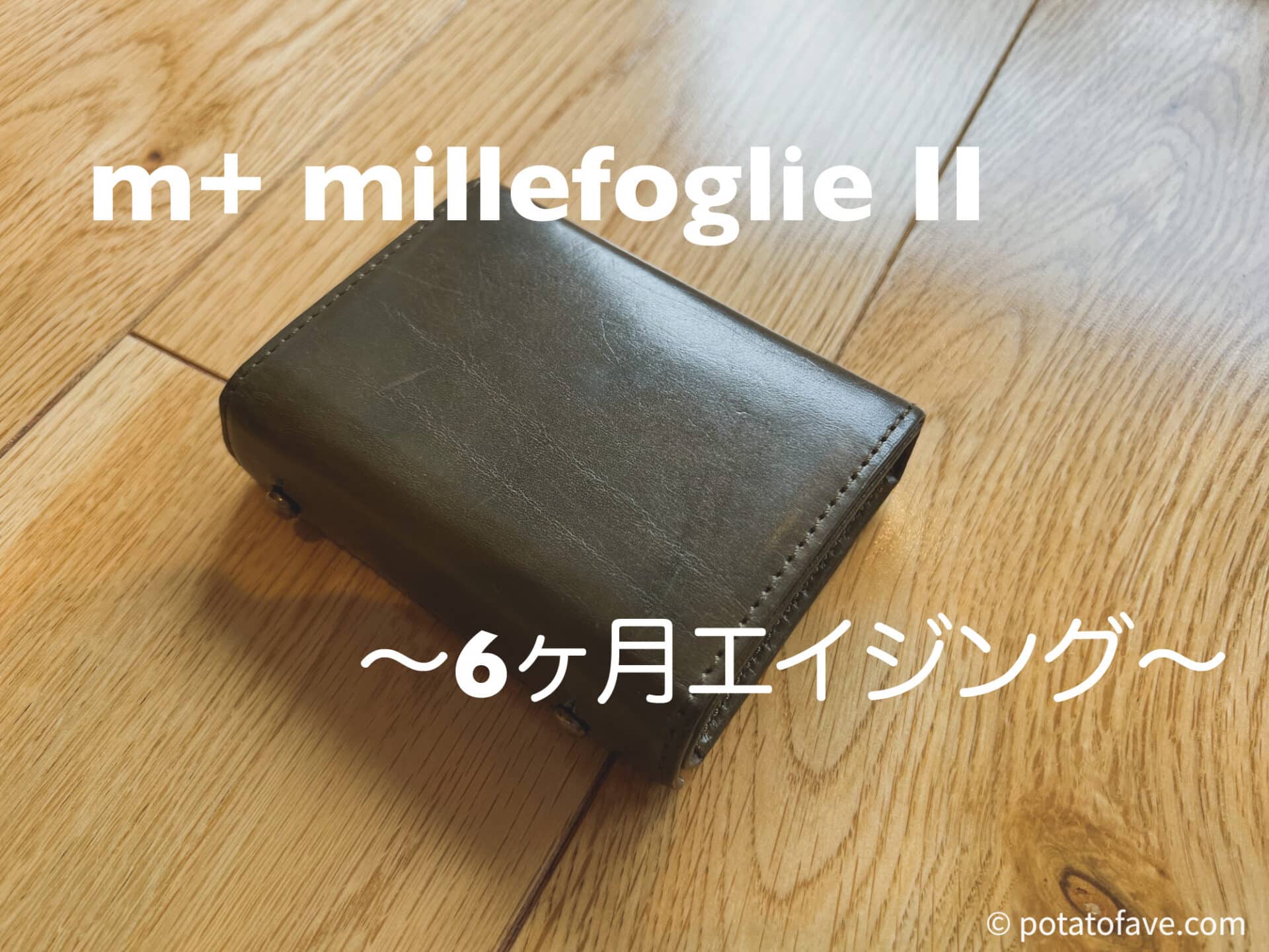 日本正規販売店 m+ エムピウ millefoglie Ⅱ P25 ミッレフォッリエ